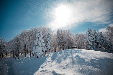 Winter scenery of Mount Zao in Yamagata Prefecture, Tohoku, Japan