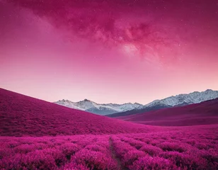 Selbstklebende Fototapeten Stunning landscape at dusk with vibrant pink flowers and snow-capped mountains under a starry sky. © Viktor