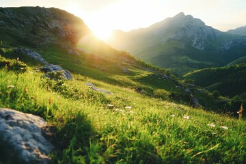 Fototapeta premium Zucchini Pancake. Spinach and Courgette Fritters for Vegetarian Brunch