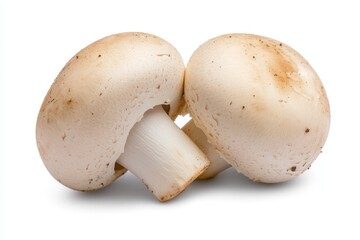 Photograph of a pair of white mushrooms on a solid background, isolated against a clear white background with no shadows. High-resolution photography. High-quality photo