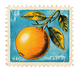 PNG Orange fruit postage stamp vintage illustration botanical.