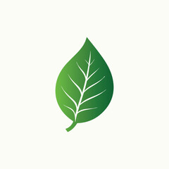 Nature Inspired Green Leave Icon