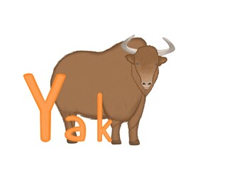 Illustration for animals alphabet with yak, on white background . Letter Y. Yak