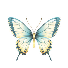 butterfly isolated on white
