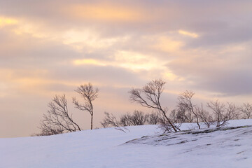 Obraz premium A beautiful Norway winter landscape with snowy mountains during golden hour. Arctic nature in Scandinavia during winter season.
