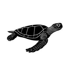 An illustration featuring a black sea turtle silhouette set against a clean white background showing a sea turtle swimming with detailed flippers and shell, symbolizing longevity and tranquility.