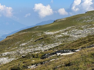 Fototapeta premium Alpine meadows and pastures on the slopes of the Uri Alps mountain massif, Melchtal - Canton of Obwalden, Switzerland (Kanton Obwald, Schweiz)