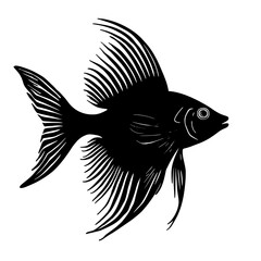 An illustration featuring a black angelfish silhouette set against a clean white background showing an angelfish with detailed fins and body, symbolizing elegance and beauty.