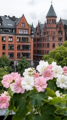 Naklejka premium Pink and white hollyhocks flourish by the Speicherstadt, showcasing summertime beauty against old architecture and a bridge backdrop