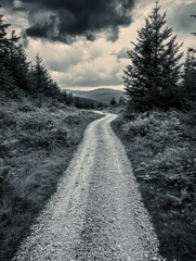 Obraz premium Dark Forest Path