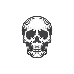 High-quality vector illustration of skull, perfect for creative design, branding, and digital artwork.