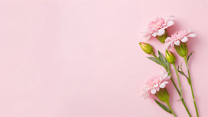 Fototapeta premium pink flowers on a pink background