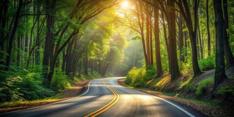 Fototapeta premium A winding asphalt road curves through a sun-dappled forest, sunlight filtering through the lush green canopy, creating a tranquil and scenic driving experience.