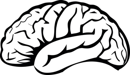 A detailed illustration of the human brain, symbolizing intelligence, creativity, and neural activity. Perfect for educational, medical, and scientific content related to cognition and mental processe
