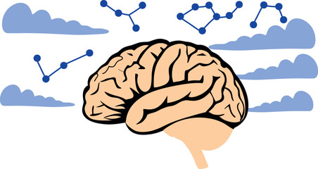A detailed illustration of the human brain, symbolizing intelligence, creativity, and neural activity. Perfect for educational, medical, and scientific content related to cognition and mental processe
