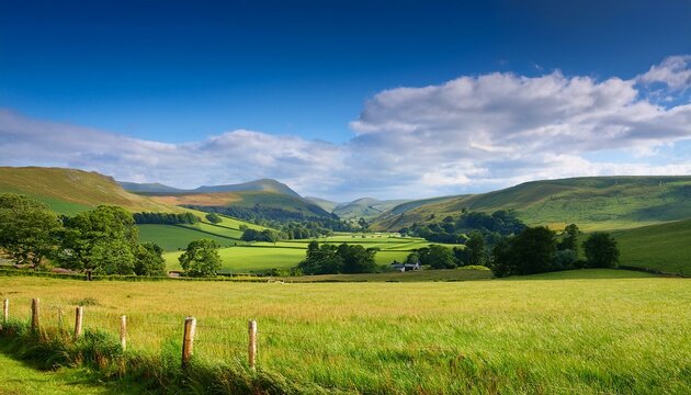 summer countryside scene in blackmore vale and vale of wardour
