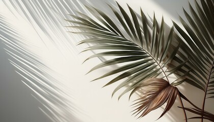 Obraz premium tropical palm leaves casting artistic shadows on a clean white background with a minimalist aesthetic concept of nature interior design and eco friendly branding