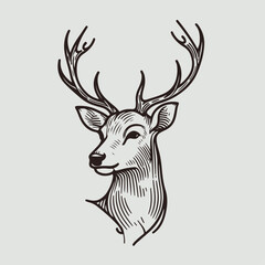 Fototapeta premium Artistic Deer Face Sketch Illustration