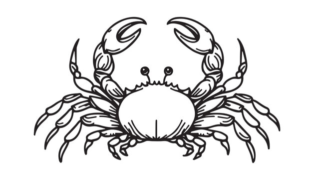 black and white crab drawing on white clip art preview