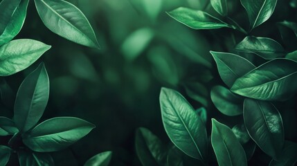 Obraz premium Vibrant green background for graphic design and advertising projects