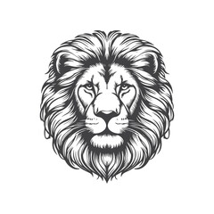 Obraz premium Collection of Lion Face Sketch Illustrations for Wildlife Projects