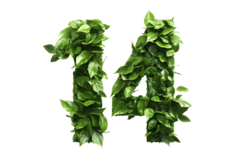 Green Leaves Form Number 14, Transparent Background