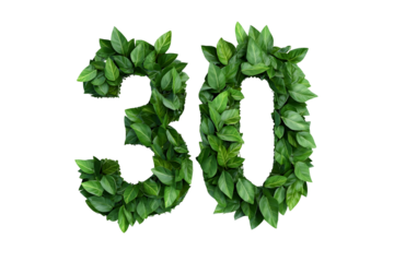 Green Leaves Form Number 30, Transparent Background