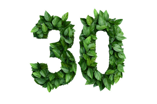 Green Leaves Form Number 30, Transparent Background