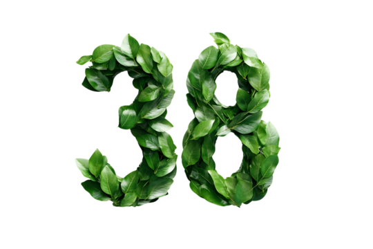 Leaves Create Number Thirty-Eight with Transparent Background