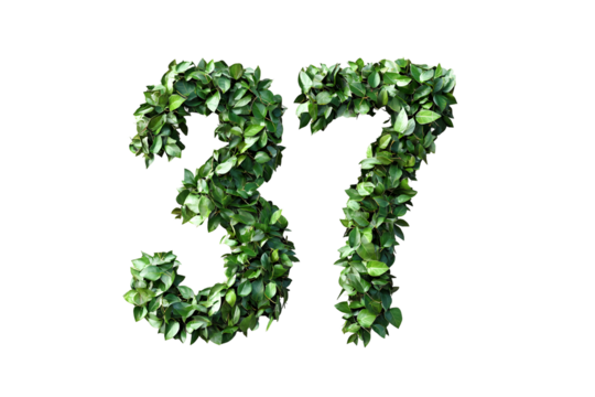 Leaves Create Number 37, Transparent Background