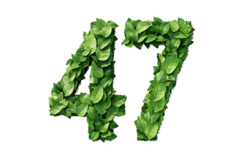 Leaves Form Number 47, Nature's Art, Transparent Background