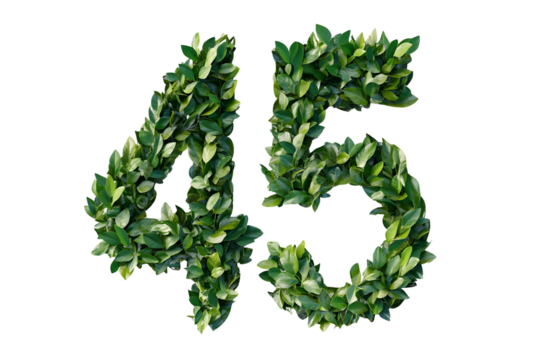 Green Leaves Form Number 45, Nature's Design,  Transparent Background