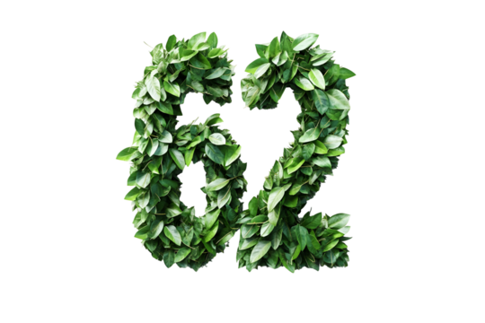Leaves Form Number Sixty-Two, Transparent Background