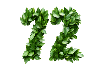 Leaves Create Number Twelve,  Transparent Background