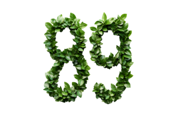 Leaves Create Number Eighty-Nine, Transparent Background
