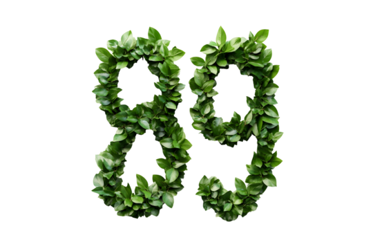 Leaves Create Number Eighty-Nine, Transparent Background