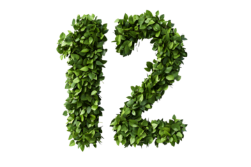 Leaves Create Number Twelve, Transparent Background