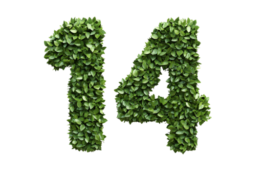 Leaves Create Number Fourteen, Transparent Background