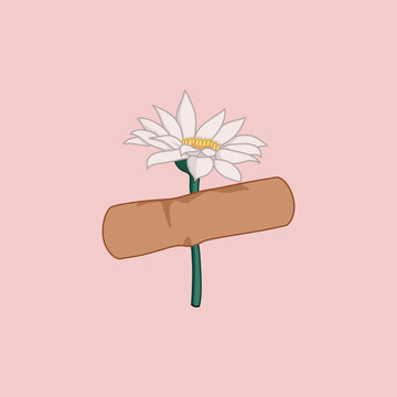 Small White Flower with a Brown Bandage on Pink Background