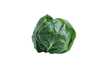 Fresh green bok choy cabbage isolated on transparent background