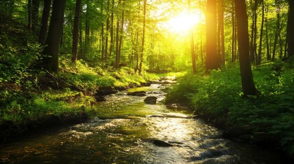 Obraz premium Sunlit Stream and Lush Green Forest - Serene stream flowing through a vibrant green forest, bathed in golden sunlight. Symbolizing peace, nature, tranquility, renewal, and escape