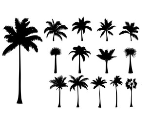Vector set of black palm tree silhouettes in a high-resolution, hyper-detailed style, featuring clean lines and sharp focus