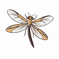 Detailed dragonfly illustration with intricately patterned wings, nature art