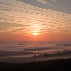 The beautiful evening sunlight