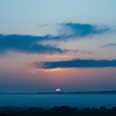 The beautiful evening sunlight