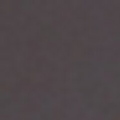 The beautiful evening sunlight