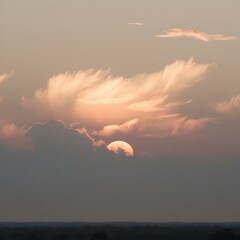 The beautiful evening sunlight