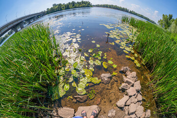 Image of a natural landscape with water, lily pads, path or rocks, bridge, sky, daylight, and human presence The scene is captured using a fisheye lens
