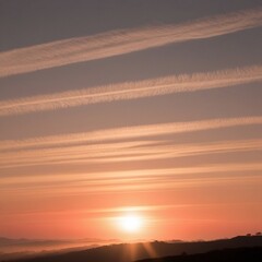 The beautiful evening sunlight