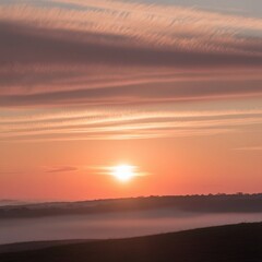 The beautiful evening sunlight